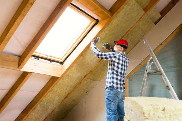 Best Attic Insulation Installation  in Mountain View, HI